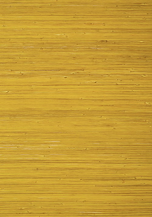 RAFFIA PALM T24069